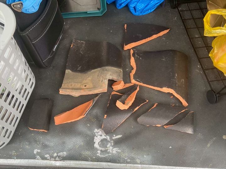 現地調査｜飛散前に回収できたのは幸い